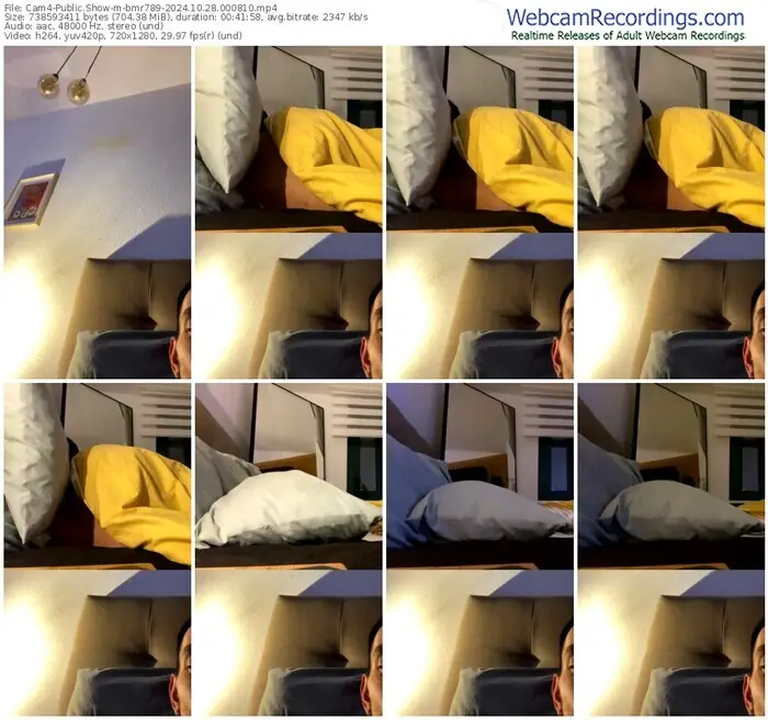 cam4-bmr789-10-28-2024-00-08-10