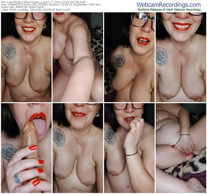 cam4-dame_a_punir_77-10-29-2024-22-13-20