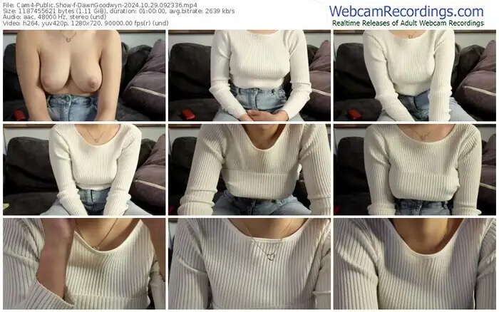 cam4-dawngoodwyn-10-29-2024-09-23-36