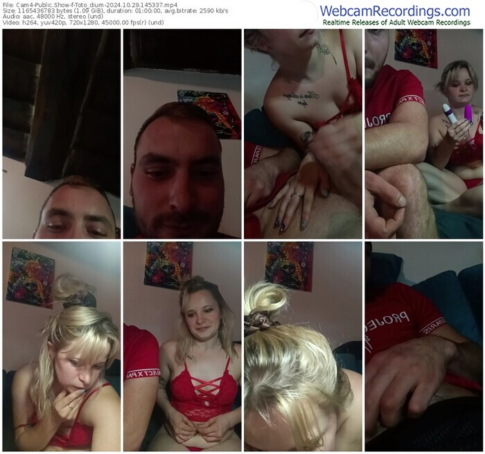 cam4-toto_dium-10-29-2024-14-53-37