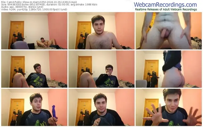 cam4-harry0250-10-29-2024-16-39-10