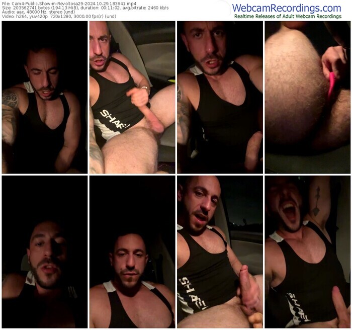 cam4-revoltosa29-10-29-2024-18-36-41