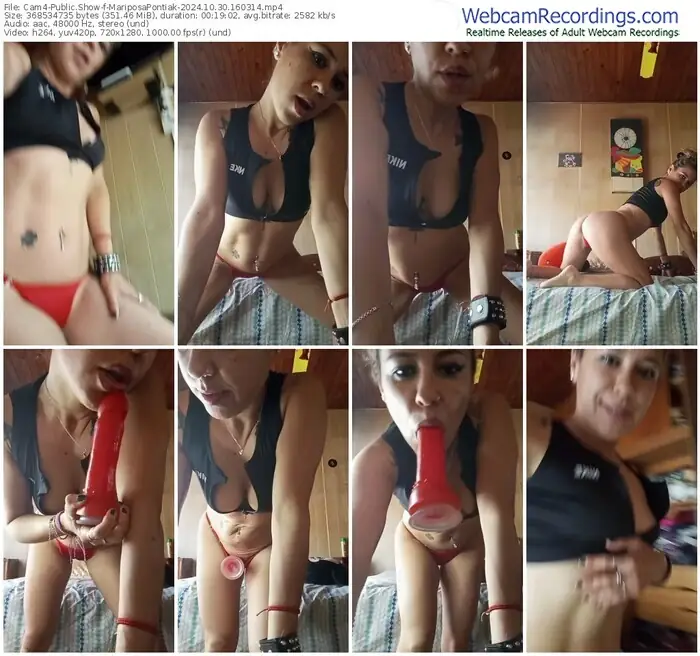 cam4-mariposapontiak-10-30-2024-16-03-14