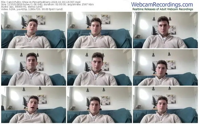 cam4-pervertedharry-10-30-2024-12-13-07