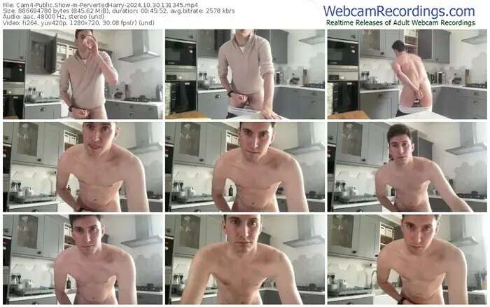 cam4-pervertedharry-10-30-2024-13-13-45