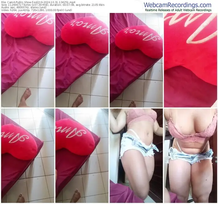 cam4-sol219-10-31-2024-13-42-51