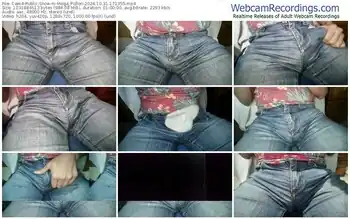 cam4-mega_pollon-10-31-2024-17-13-55