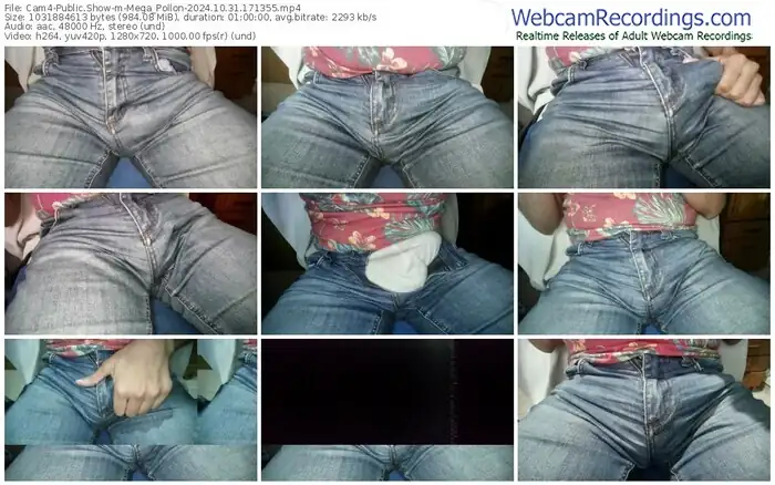 cam4-mega_pollon-10-31-2024-17-13-55