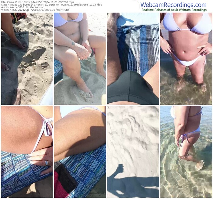 cam4-tesla53-11-01-2024-09-02-00