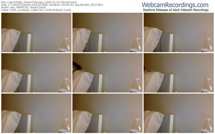 cam4-hhoneyy-11-01-2024-04-12-44