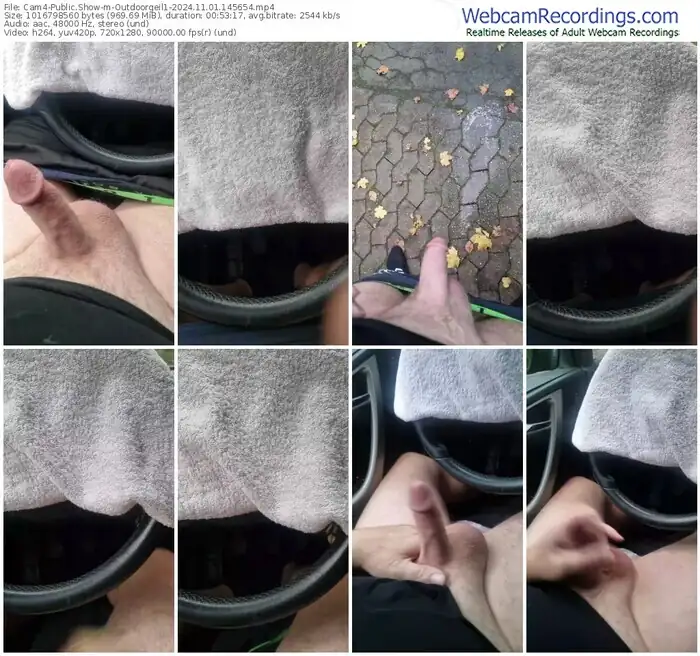 cam4-outdoorgeil1-11-01-2024-14-56-54