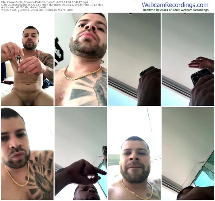 cam4-pedrobarboza01-11-01-2024-15-47-47