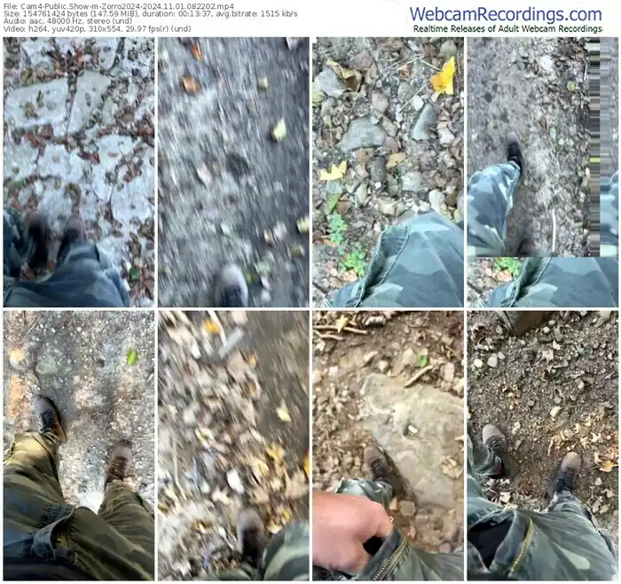 cam4-zorro2024-11-01-2024-08-22-02