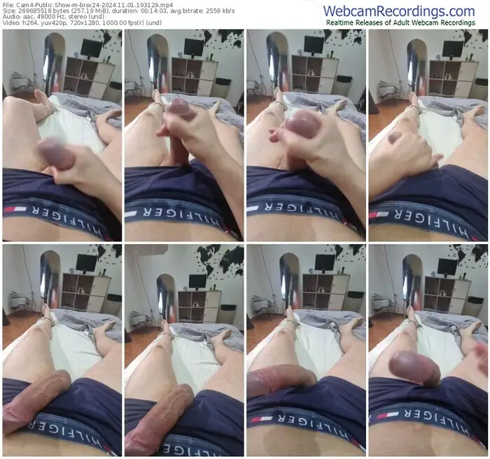 cam4-bisx24-11-01-2024-19-31-29