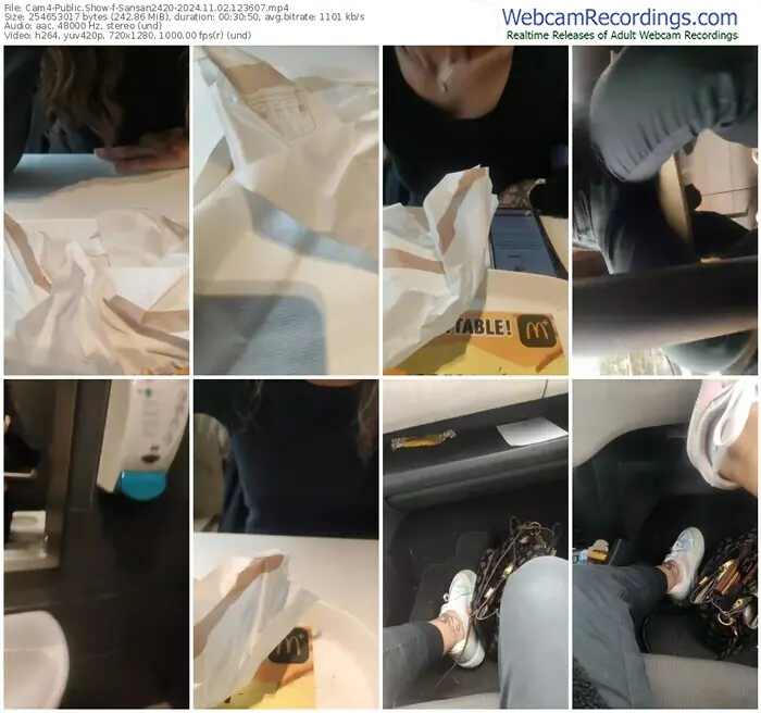 cam4-sansan2420-11-02-2024-12-36-07