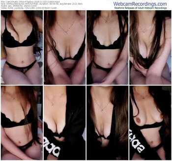 cam4-tadjixx-11-02-2024-12-34-04
