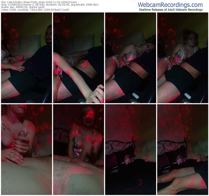 cam4-toto_dium-11-02-2024-19-54-22