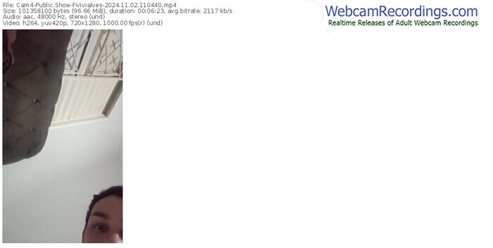 cam4-vivialves-11-02-2024-11-04-40