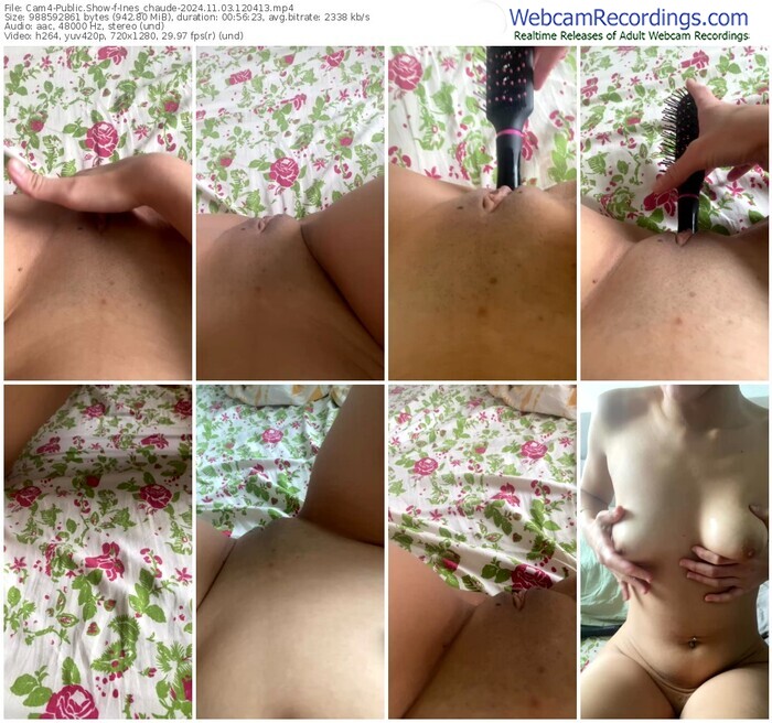 cam4-ines_chaude-11-03-2024-12-04-13