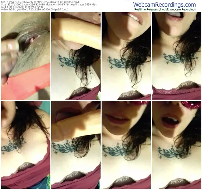 cam4-merlotinvierno-11-03-2024-03-31-52