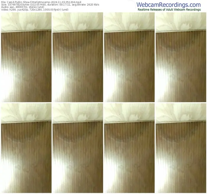 cam4-merlotinvierno-11-03-2024-05-12-04