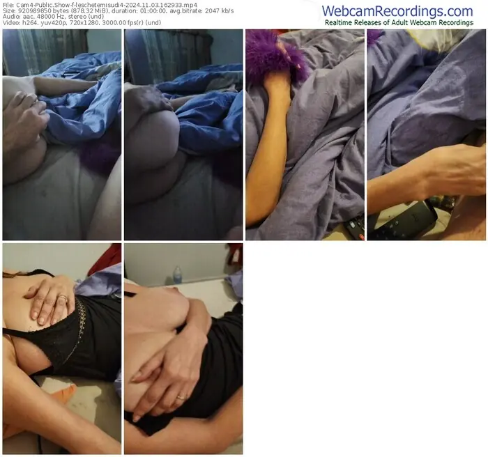 cam4-leschetemisudi4-11-03-2024-16-29-33