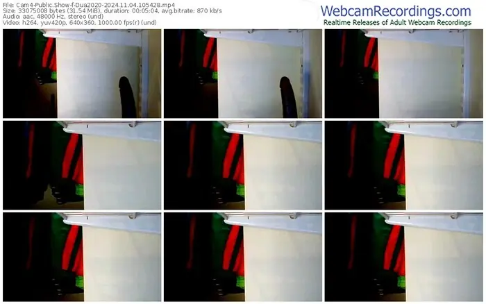 cam4-dua2020-11-04-2024-10-54-28