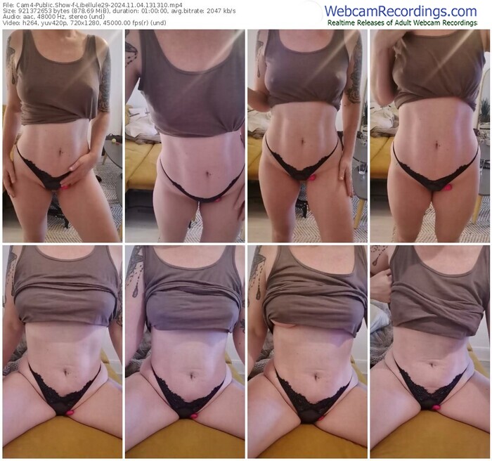 cam4-libellule29-11-04-2024-13-13-10