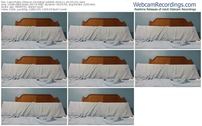 cam4-22cmbigcockmilk-11-04-2024-03-11-51