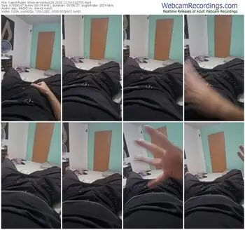 cam4-vanluiz28-11-04-2024-01-27-05