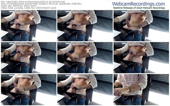 cam4-fenicerossa-11-04-2024-10-15-44