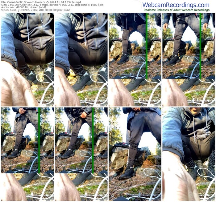 cam4-likescock5-11-04-2024-13-34-34