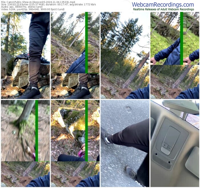 cam4-likescock5-11-04-2024-13-53-31