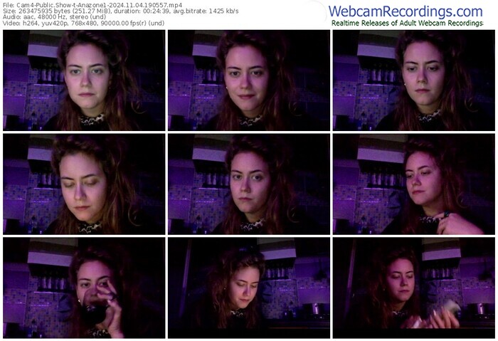 cam4-anazone1-11-04-2024-19-05-57
