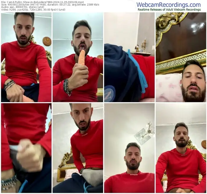 cam4-belvedere7889-11-05-2024-09-31-09