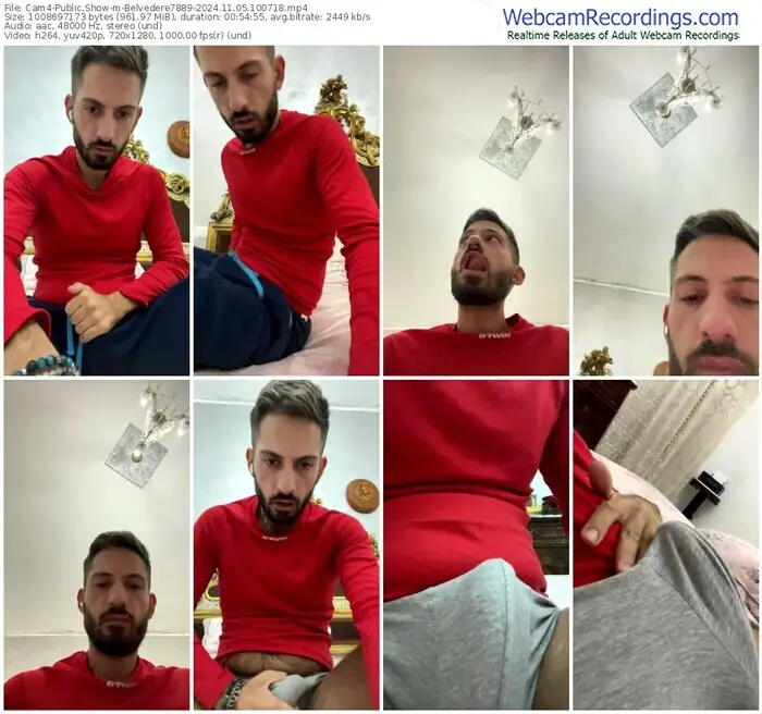 cam4-belvedere7889-11-05-2024-10-07-18