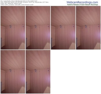 cam4-dzinblondi-11-06-2024-11-28-27