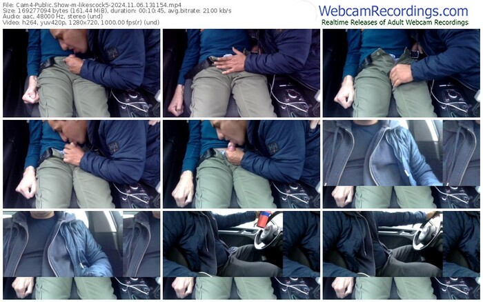 cam4-likescock5-11-06-2024-13-11-54