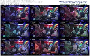 cam4-davidswelt-11-08-2024-19-56-21