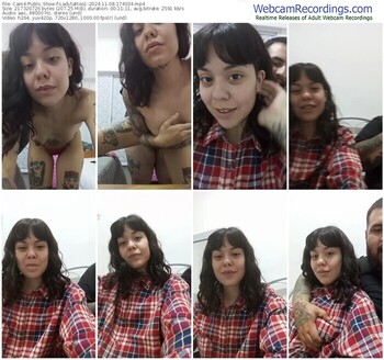 cam4-ladytattoo1-11-08-2024-17-40-34