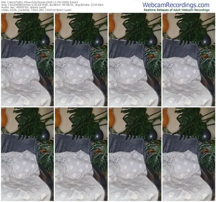 cam4-dichesse-11-09-2024-19-09-13