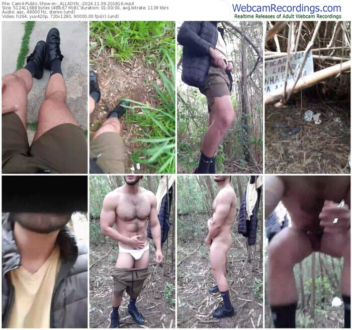 cam4-_alladyn_-11-09-2024-20-18-16