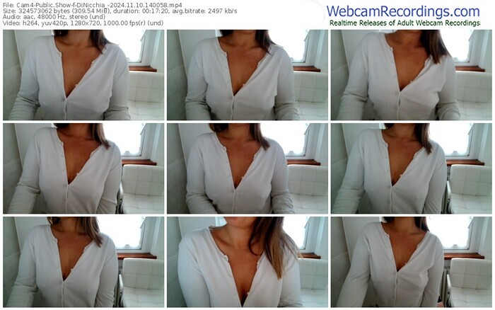 cam4-dinicchia_-11-10-2024-14-00-58