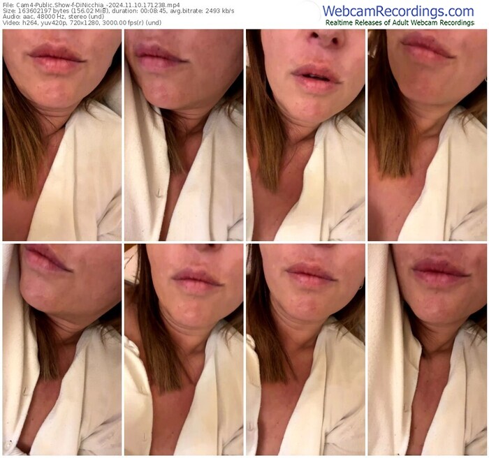 cam4-dinicchia_-11-10-2024-17-12-38