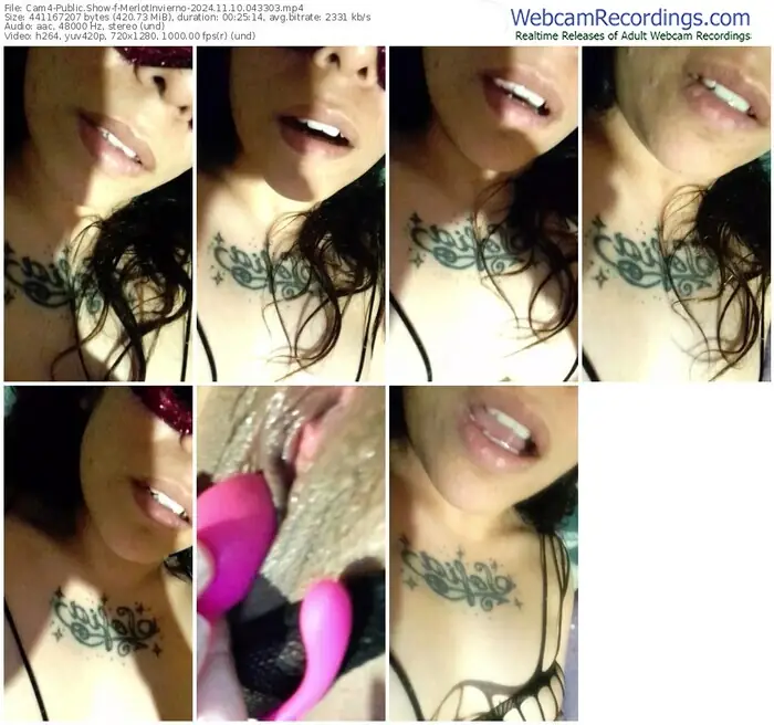 cam4-merlotinvierno-11-10-2024-04-33-03