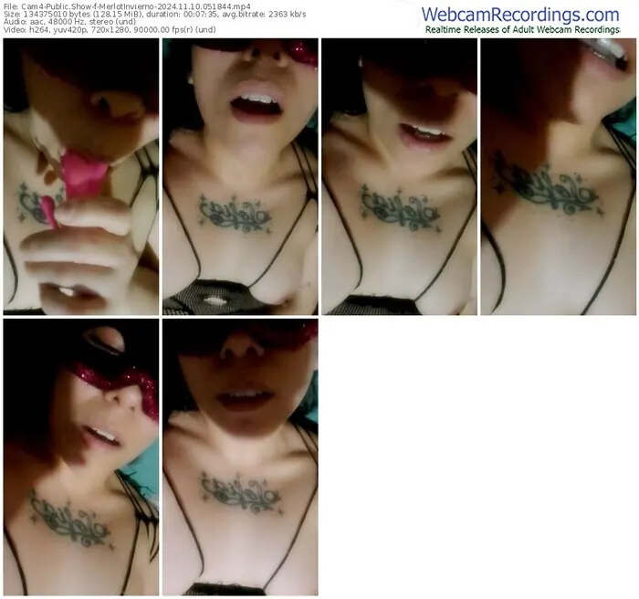 cam4-merlotinvierno-11-10-2024-05-18-44