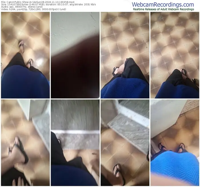 cam4-vanluiz28-11-10-2024-19-04-58