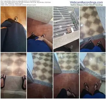 cam4-vanluiz28-11-10-2024-20-00-07