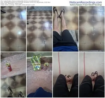 cam4-vanluiz28-11-10-2024-20-12-34