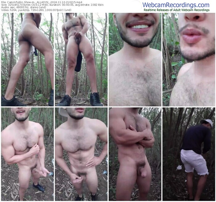 cam4-_alladyn_-11-10-2024-21-02-15